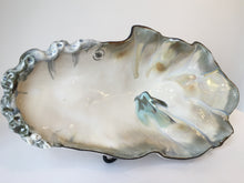 Load image into Gallery viewer, Oyster Shell Bakers (four sizes)